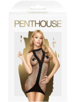 Penthouse Lingerie Ride Or Die Fishnet Bodystocking Dress (black)