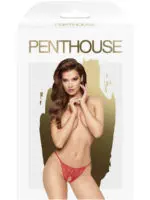 Penthouse Lingerie Hot Getaway Lacey Crotchless Thong (red)