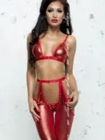 Me Seduce ‘eliane’ Erotic Fantasy Wet Look Stockings Set (red)